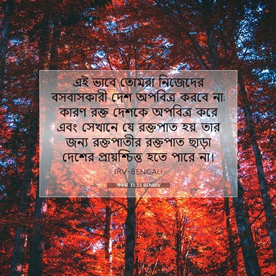 Picture 07 - গননা 35:33 BENIRV - এই ভাবে তোমরা - Bible Verse Picture