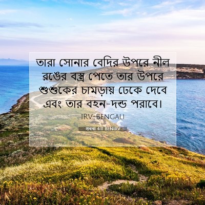 Picture 07 - গননা 4:11 BENIRV - তারা সোনার বেদির - Bible Verse Picture