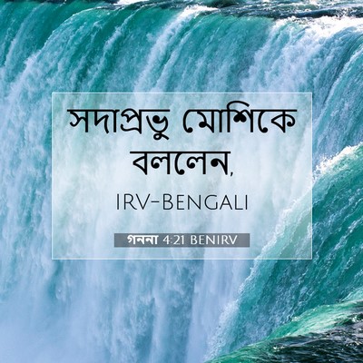 Picture 07 - গননা 4:21 BENIRV - সদাপ্রভু মোশিকে - Bible Verse Picture