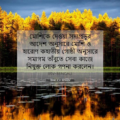 Picture 07 - গননা 4:37 BENIRV - মোশিকে দেওয়া - Bible Verse Picture