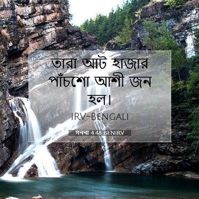 Picture 07 - গননা 4:48 BENIRV - তারা আট হাজার - Bible Verse Picture