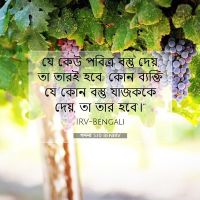 Picture 07 - গননা 5:10 BENIRV - যে কেউ পবিত্র - Bible Verse Picture