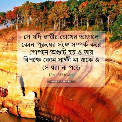 Picture 07 - গননা 5:13 BENIRV - সে যদি স্বামীর - Bible Verse Picture