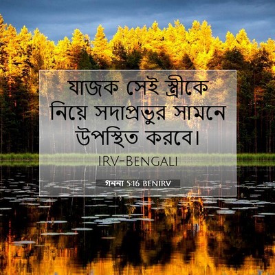 Picture 07 - গননা 5:16 BENIRV - যাজক সেই স্ত্রীকে - Bible Verse Picture