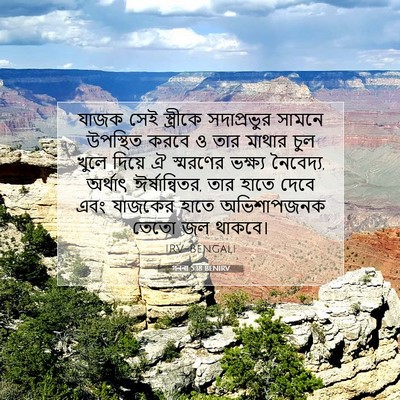 Picture 07 - গননা 5:18 BENIRV - যাজক সেই স্ত্রীকে - Bible Verse Picture