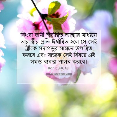 Picture 07 - গননা 5:30 BENIRV - কিংবা স্বামী - Bible Verse Picture