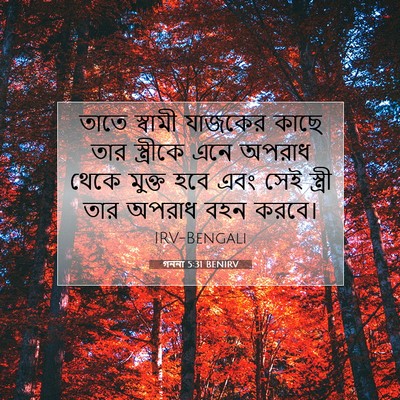 Picture 07 - গননা 5:31 BENIRV - তাতে স্বামী - Bible Verse Picture