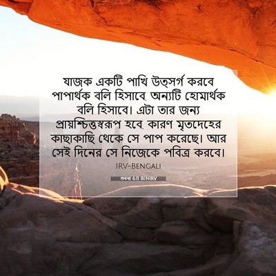 Picture 07 - গননা 6:11 BENIRV - যাজক একটি পাখি - Bible Verse Picture