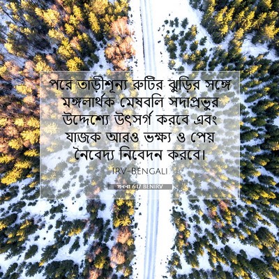 Picture 07 - গননা 6:17 BENIRV - পরে তাড়ীশূন্য - Bible Verse Picture