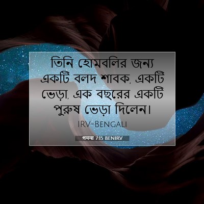 Picture 07 - গননা 7:15 BENIRV - তিনি হোমবলির জন্য - Bible Verse Picture