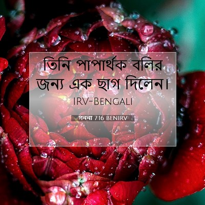 Picture 07 - গননা 7:16 BENIRV - তিনি পাপার্থক - Bible Verse Picture