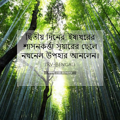 Picture 07 - গননা 7:18 BENIRV - দ্বিতীয় দিনের, - Bible Verse Picture