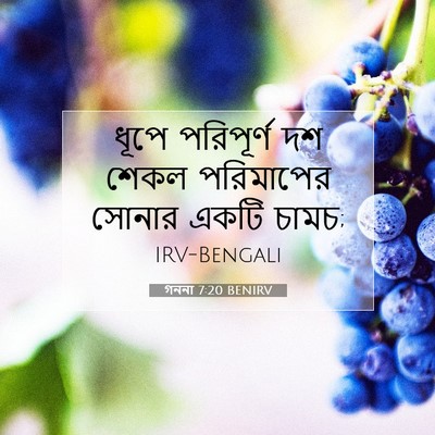 Picture 07 - গননা 7:20 BENIRV - ধূপে পরিপূর্ণ দশ - Bible Verse Picture