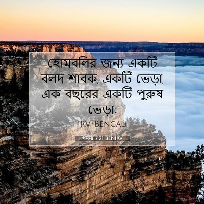 Picture 07 - গননা 7:21 BENIRV - হোমবলির জন্য একটি - Bible Verse Picture