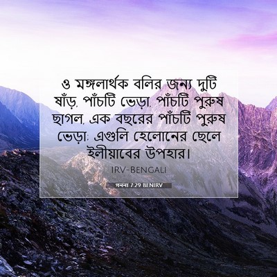 Picture 07 - গননা 7:29 BENIRV - ও মঙ্গলার্থক বলির - Bible Verse Picture