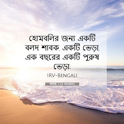 Picture 07 - গননা 7:33 BENIRV - হোমবলির জন্য একটি - Bible Verse Picture