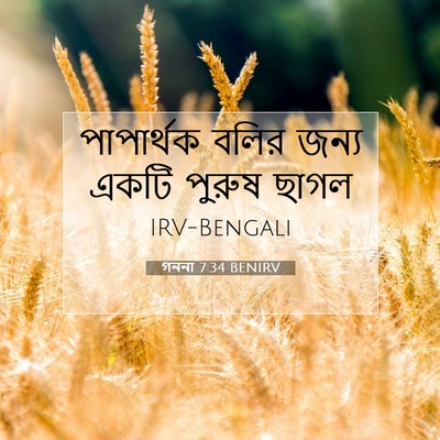 Picture 07 - গননা 7:34 BENIRV - পাপার্থক বলির - Bible Verse Picture