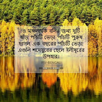 Picture 07 - গননা 7:35 BENIRV - ও মঙ্গলার্থক বলির - Bible Verse Picture