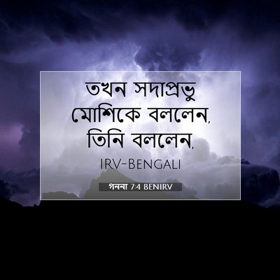Picture 07 - গননা 7:4 BENIRV - তখন সদাপ্রভু - Bible Verse Picture