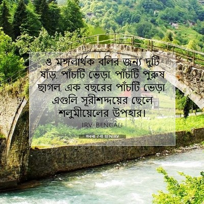 Picture 07 - গননা 7:41 BENIRV - ও মঙ্গলার্থক বলির - Bible Verse Picture