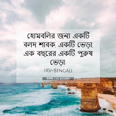 Picture 07 - গননা 7:45 BENIRV - হোমবলির জন্য একটি - Bible Verse Picture