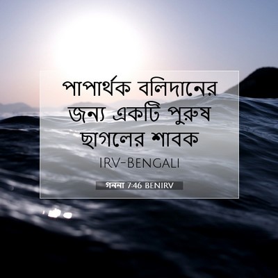 Picture 07 - গননা 7:46 BENIRV - পাপার্থক বলিদানের - Bible Verse Picture
