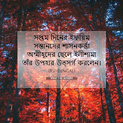 Picture 07 - গননা 7:48 BENIRV - সপ্তম দিনের - Bible Verse Picture