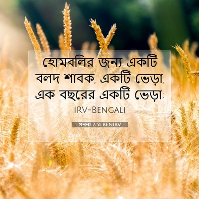 Picture 07 - গননা 7:51 BENIRV - হোমবলির জন্য একটি - Bible Verse Picture