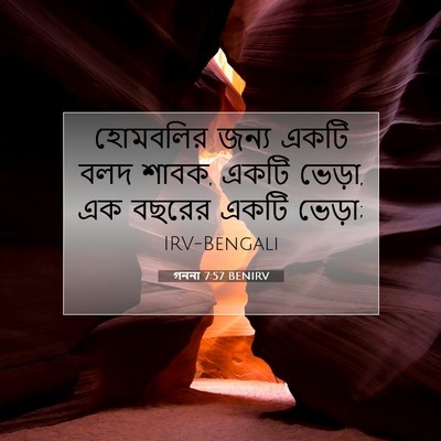 Picture 07 - গননা 7:57 BENIRV - হোমবলির জন্য একটি - Bible Verse Picture
