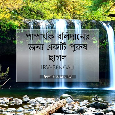 Picture 07 - গননা 7:58 BENIRV - পাপার্থক বলিদানের - Bible Verse Picture