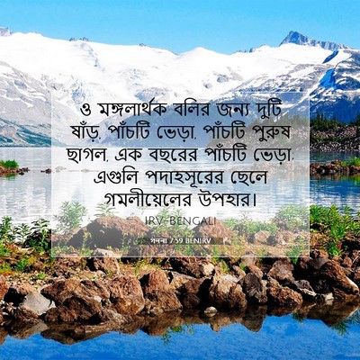 Picture 07 - গননা 7:59 BENIRV - ও মঙ্গলার্থক বলির - Bible Verse Picture