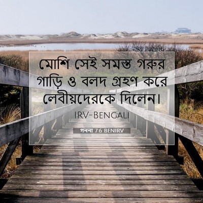 Picture 07 - গননা 7:6 BENIRV - মোশি সেই সমস্ত - Bible Verse Picture