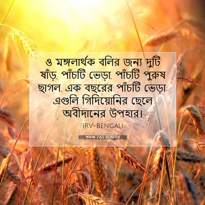 Picture 07 - গননা 7:65 BENIRV - ও মঙ্গলার্থক বলির - Bible Verse Picture