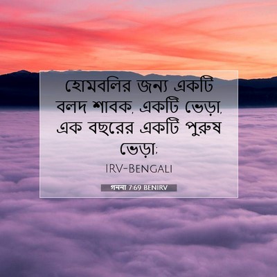 Picture 07 - গননা 7:69 BENIRV - হোমবলির জন্য একটি - Bible Verse Picture