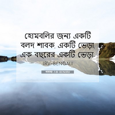 Picture 07 - গননা 7:81 BENIRV - হোমবলির জন্য একটি - Bible Verse Picture