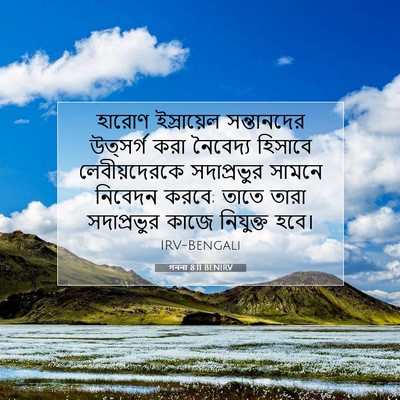 Picture 07 - গননা 8:11 BENIRV - হারোণ ইস্রায়েল - Bible Verse Picture