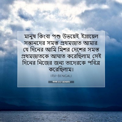 Picture 07 - গননা 8:17 BENIRV - মানুষ কিংবা পশু - Bible Verse Picture