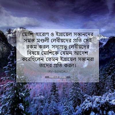 Picture 07 - গননা 8:20 BENIRV - মোশি, হারোণ ও - Bible Verse Picture