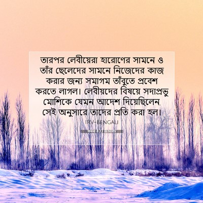 Picture 07 - গননা 8:22 BENIRV - তারপর লেবীয়েরা - Bible Verse Picture
