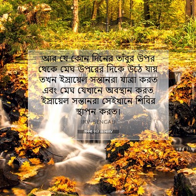Picture 07 - গননা 9:17 BENIRV - আর যে কোন দিনের - Bible Verse Picture
