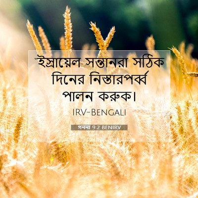 Picture 07 - গননা 9:2 BENIRV - “ইস্রায়েল - Bible Verse Picture