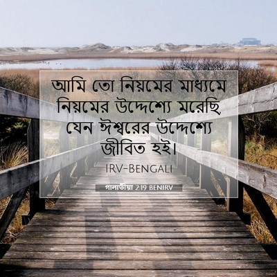 Picture 07 - গালাতীয়া 2:19 BENIRV - আমি তো নিয়মের - Bible Verse Picture