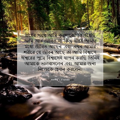 Picture 07 - গালাতীয়া 2:20 BENIRV - খ্রীষ্টের সাথে - Bible Verse Picture