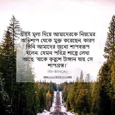 Picture 07 - গালাতীয়া 3:13 BENIRV - খ্রীষ্টই মূল্য - Bible Verse Picture