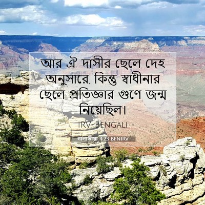 Picture 07 - গালাতীয়া 4:23 BENIRV - আর ঐ দাসীর ছেলে দেহ - Bible Verse Picture