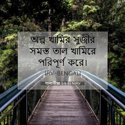 Picture 07 - গালাতীয়া 5:9 BENIRV - অল্প খামির সুজীর - Bible Verse Picture