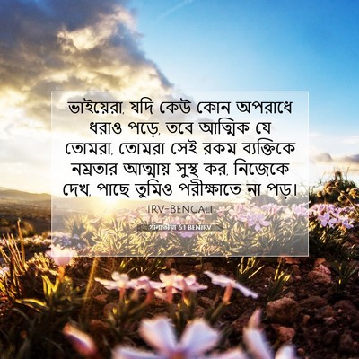 Picture 07 - গালাতীয়া 6:1 BENIRV - ভাইয়েরা, যদি কেউ - Bible Verse Picture