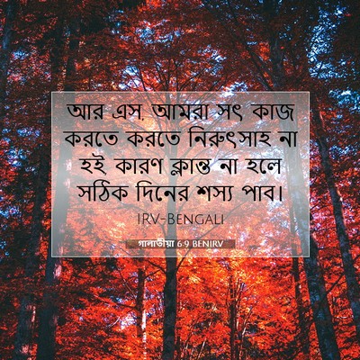 Picture 07 - গালাতীয়া 6:9 BENIRV - আর এস, আমরা সৎ কাজ - Bible Verse Picture