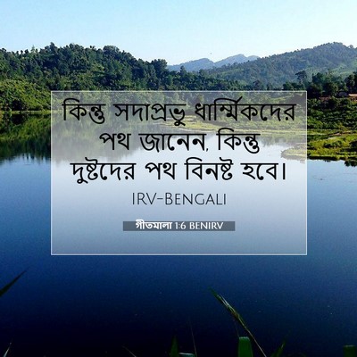 Picture 07 - গীতমালা 1:6 BENIRV - কিন্তু সদাপ্রভুু - Bible Verse Picture