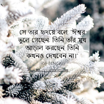 Picture 07 - গীতমালা 10:11 BENIRV - সে তার হৃদয়ে বলে, - Bible Verse Picture